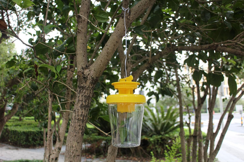 EKNA Wespenfallen für draussen - Biologische Wespen Falle - Wasp Trap - Wespenfalle groß - Wespenabwehr Terrasse, Garten, Balkon uvw. - Effektive & humane Insektenbekämpfung!-Insektenschutz-EKNA GmbH & Co. KG