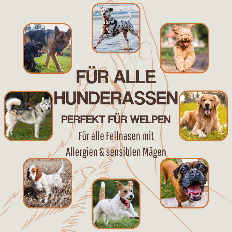 WEPO - Rinderlungen - Hunde Leckerlis - 1kg Rinderlungen-Trainings-Happen-PET_SUPPLIES-EKNA GmbH & Co. KG